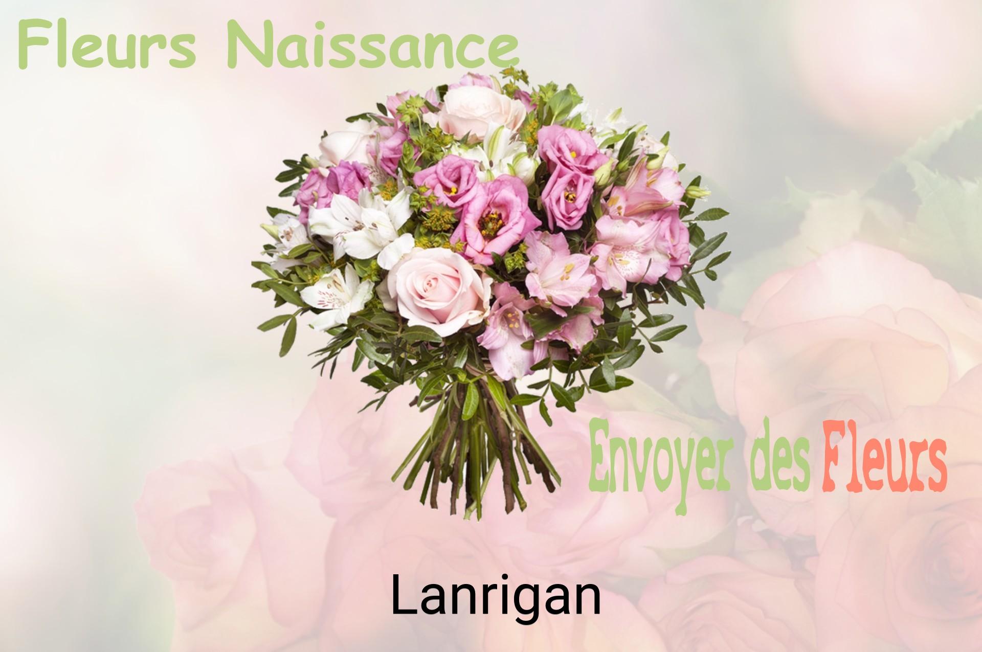 Bouquet de fleurs de naissance livré à Lanrigan